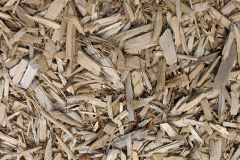 biomass boilers Thorne Coffin